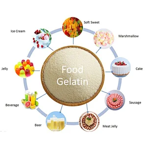 Food Additive Halal Edible Bovine Gelatin Powder Price with ISO 22000 HACCP